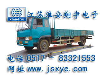 移動(dòng)汽車(chē)衡,移動(dòng)式汽車(chē)衡,移動(dòng)電子汽車(chē)衡,移動(dòng)式電子汽車(chē)衡,移動(dòng)汽車(chē)衡廠家,移動(dòng)電子汽車(chē)衡廠家,XYTS-W